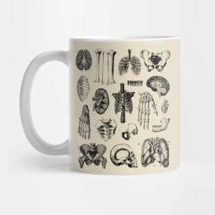 Human Anatomy Mug